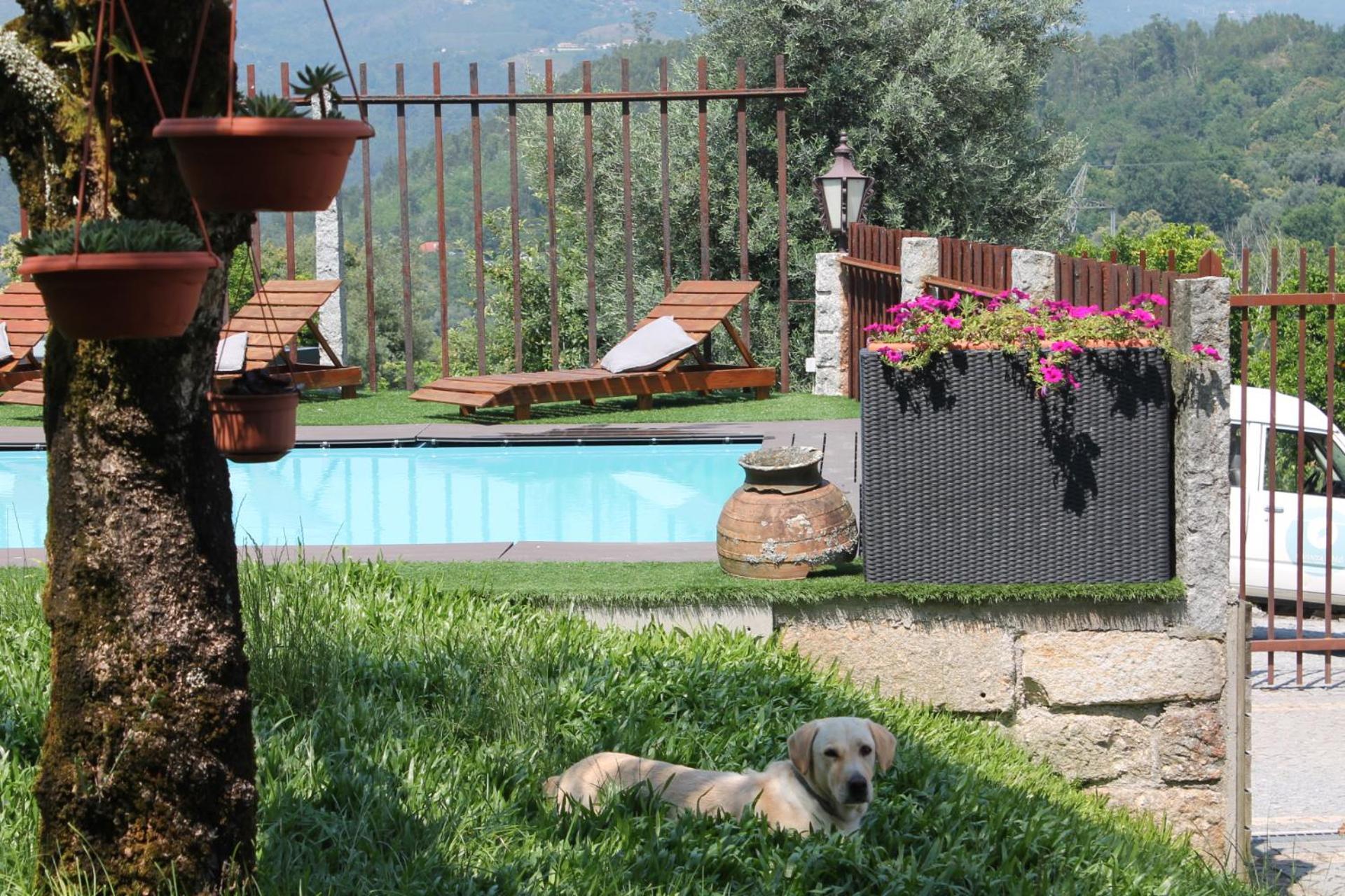 Villa Quinta Da Mo à Terras de Bouro Extérieur photo